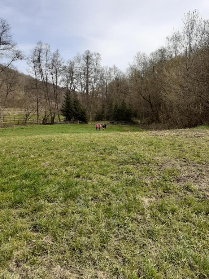 Gite Little Creek Hamoir Exterior photo